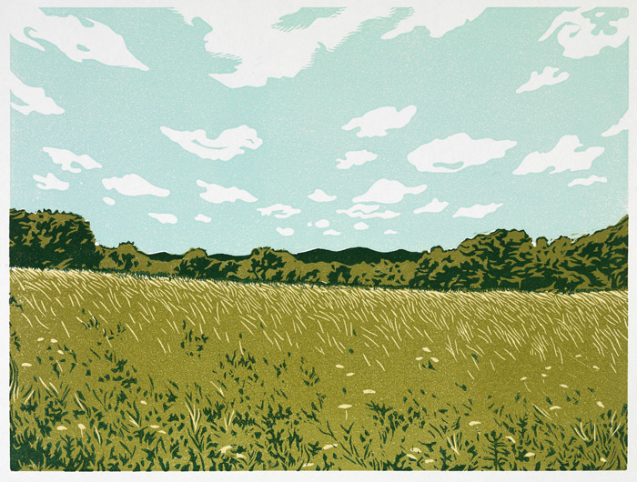 summer_meadow